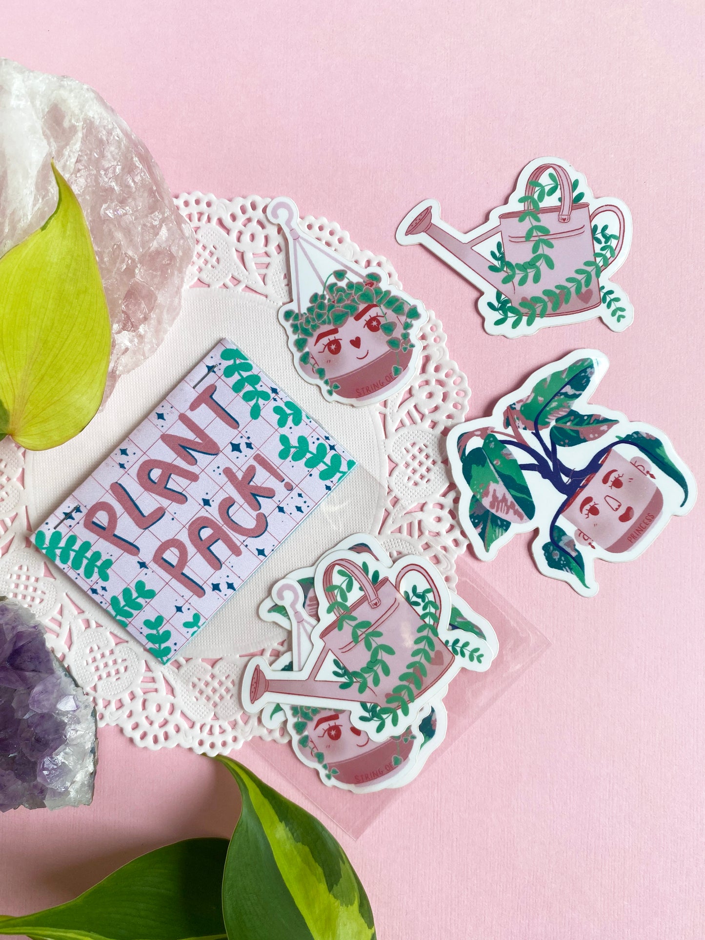 variegated string of hearts plant sticker