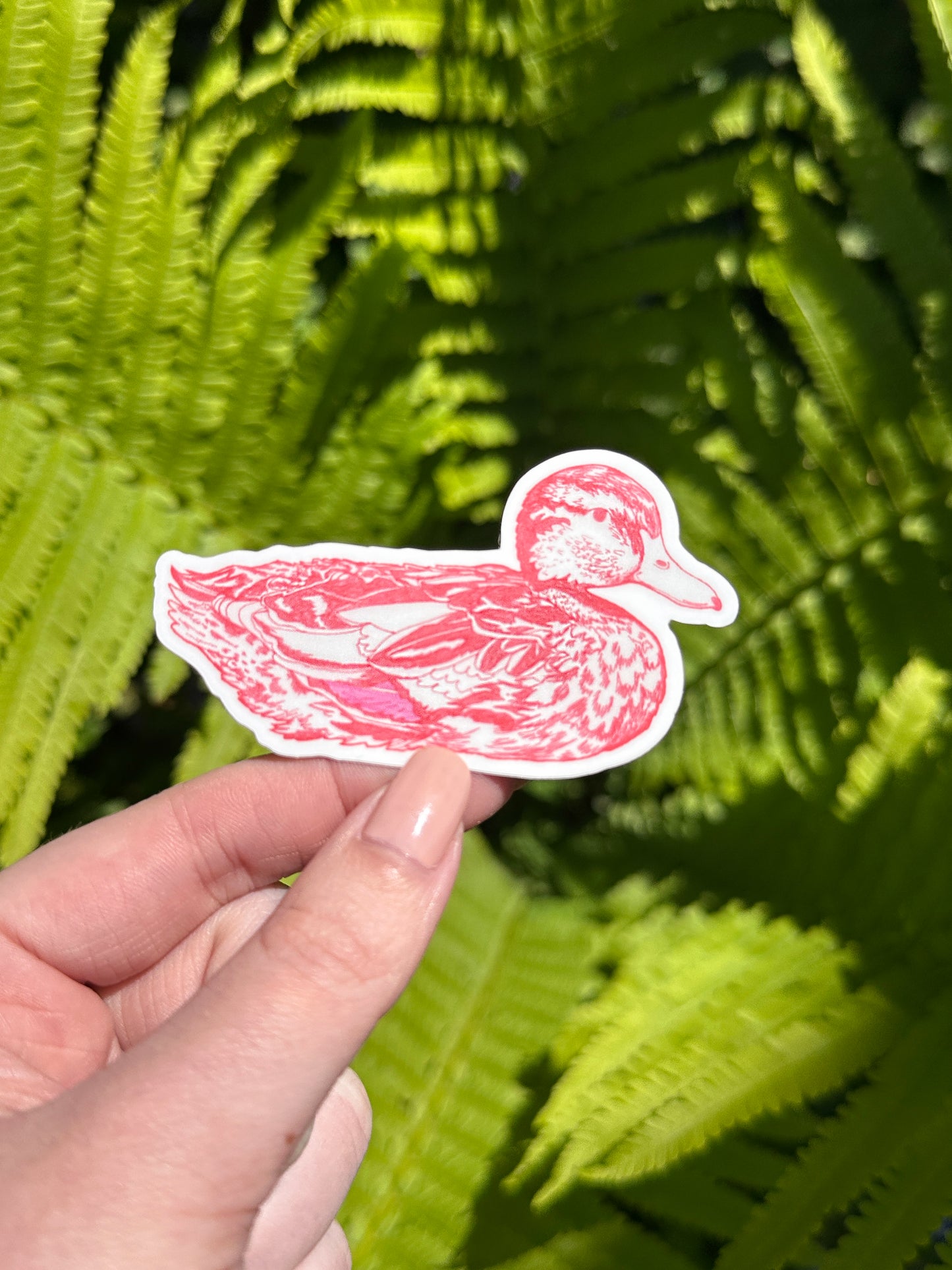 red duck illustration sticker
