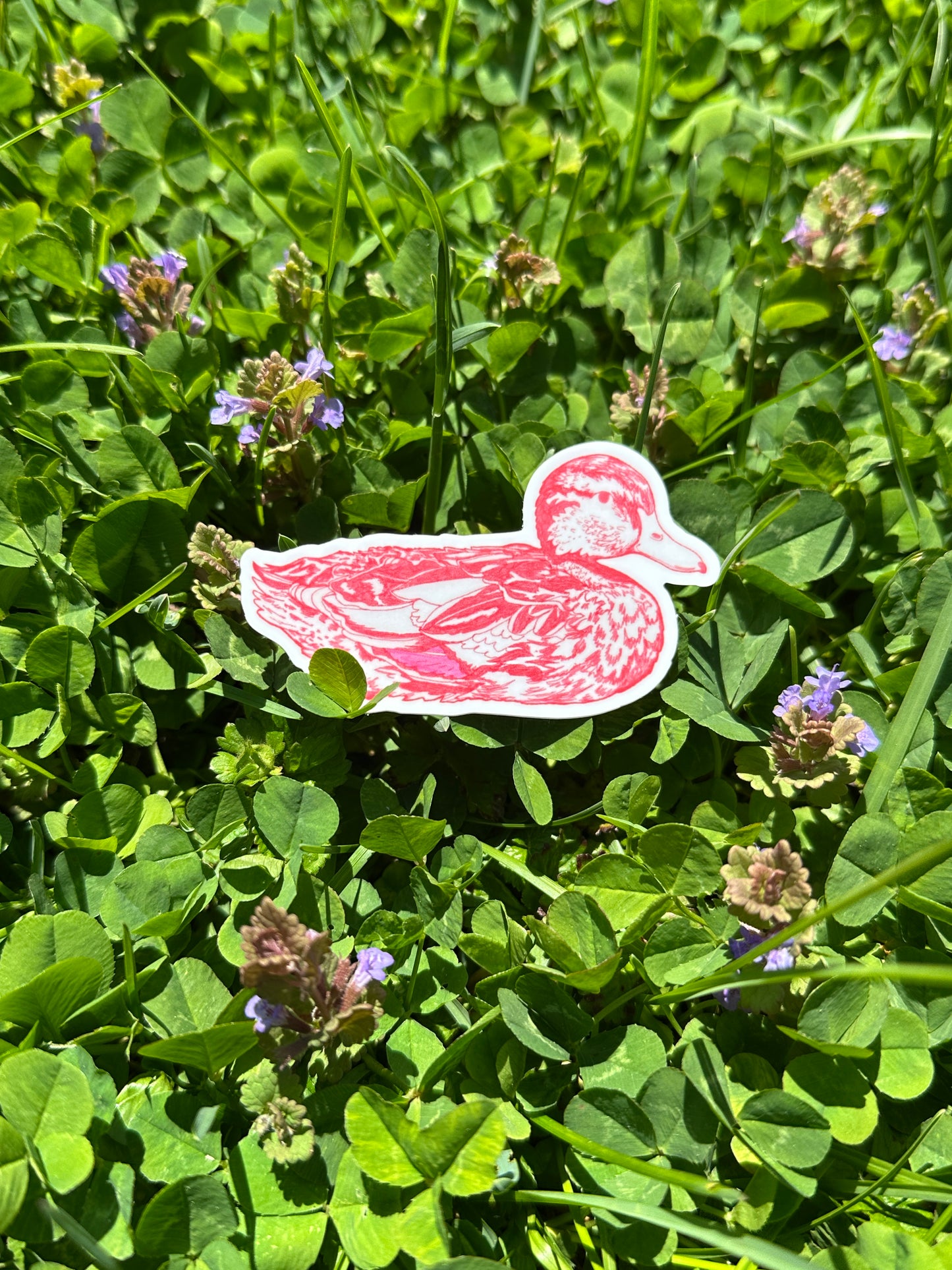 red duck illustration sticker