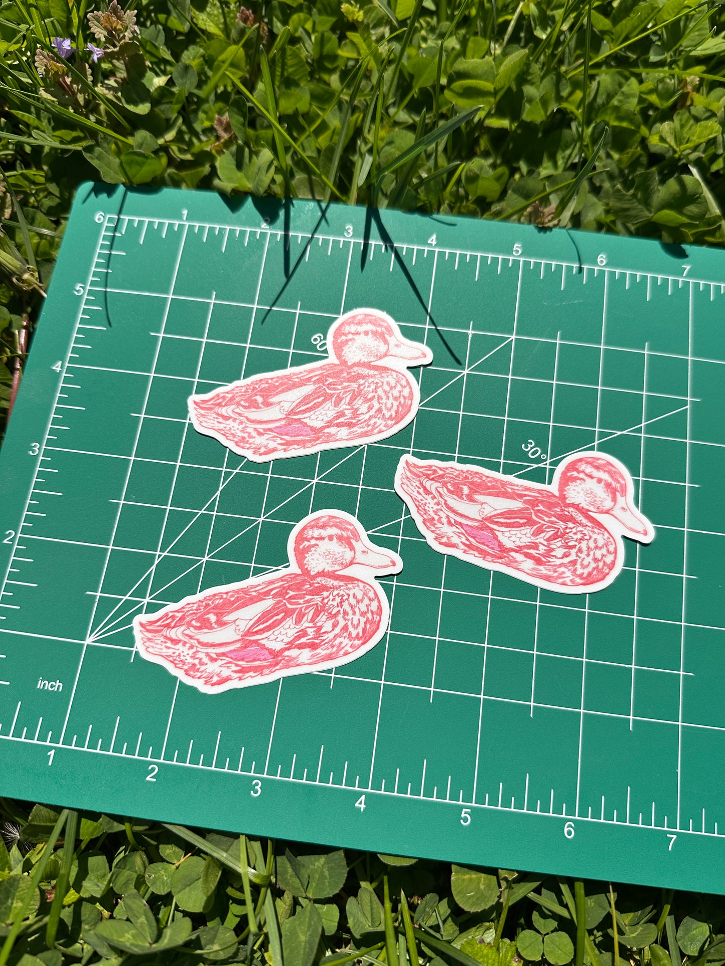 red duck illustration sticker