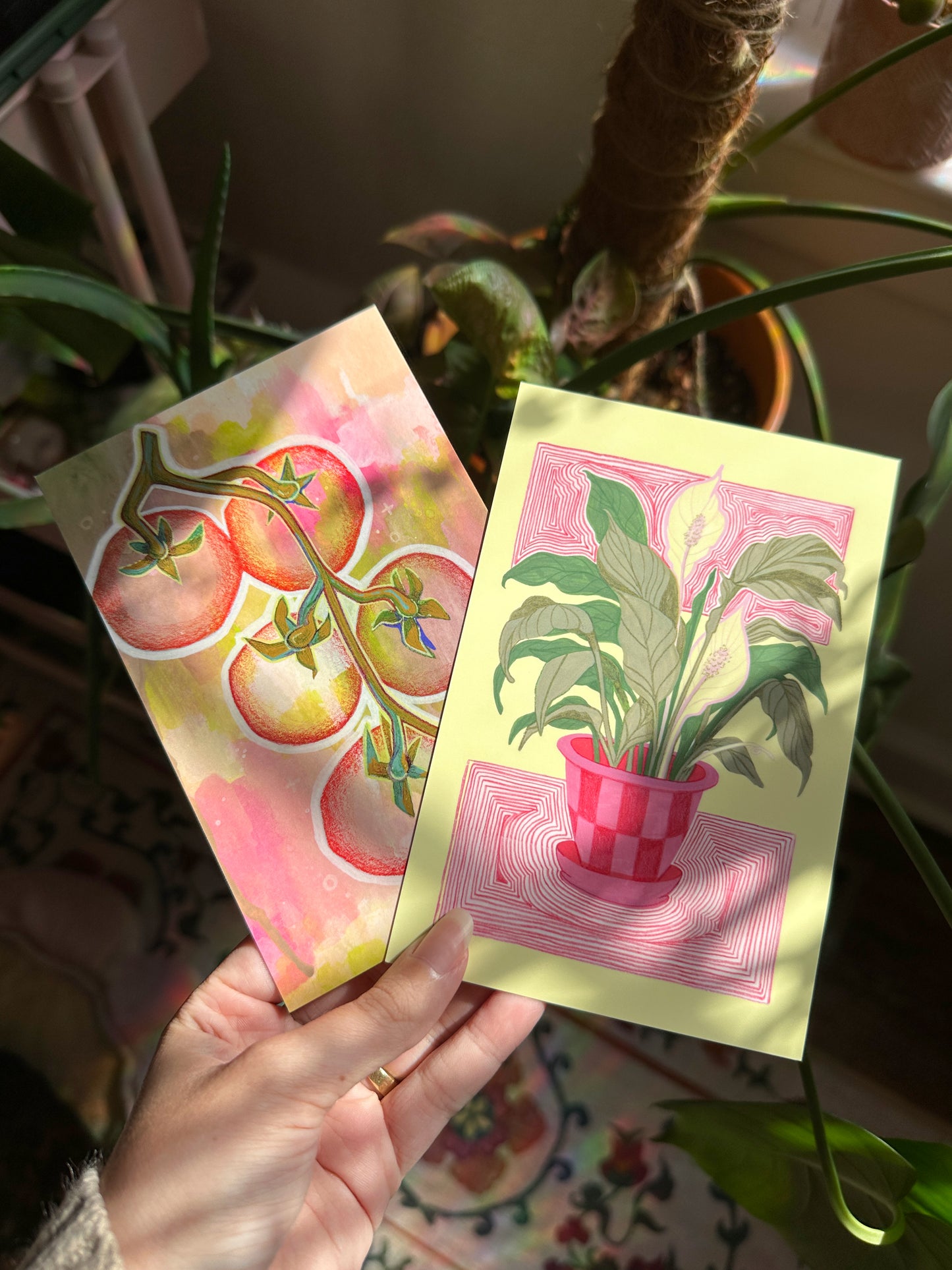 "pink tomatoes on the vine mini art print (4x6 postcard, small artwork)