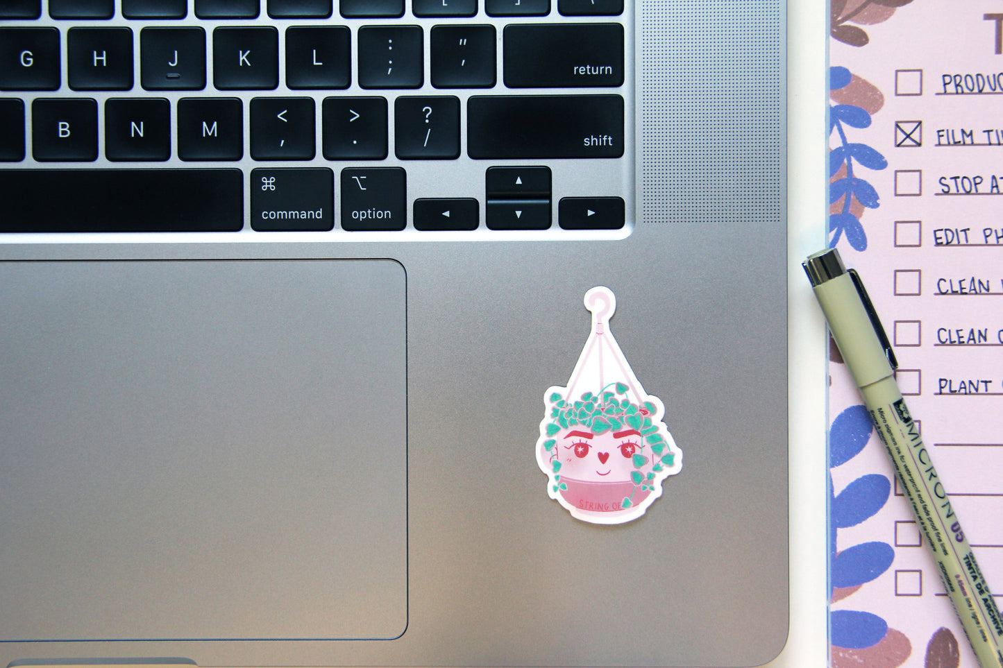 variegated string of hearts plant sticker