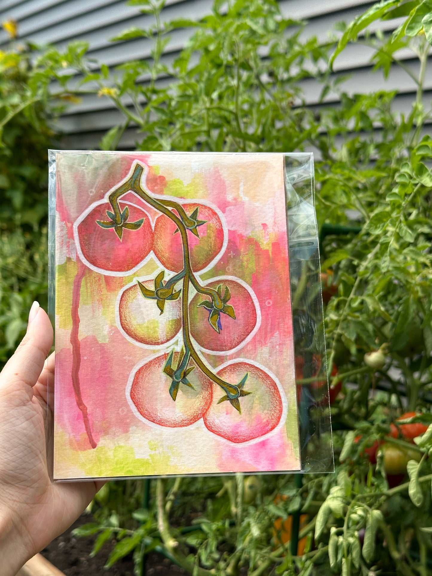 "Pink Tomatoes on the Vine" Original Illustration (5x7, Small Artwork)