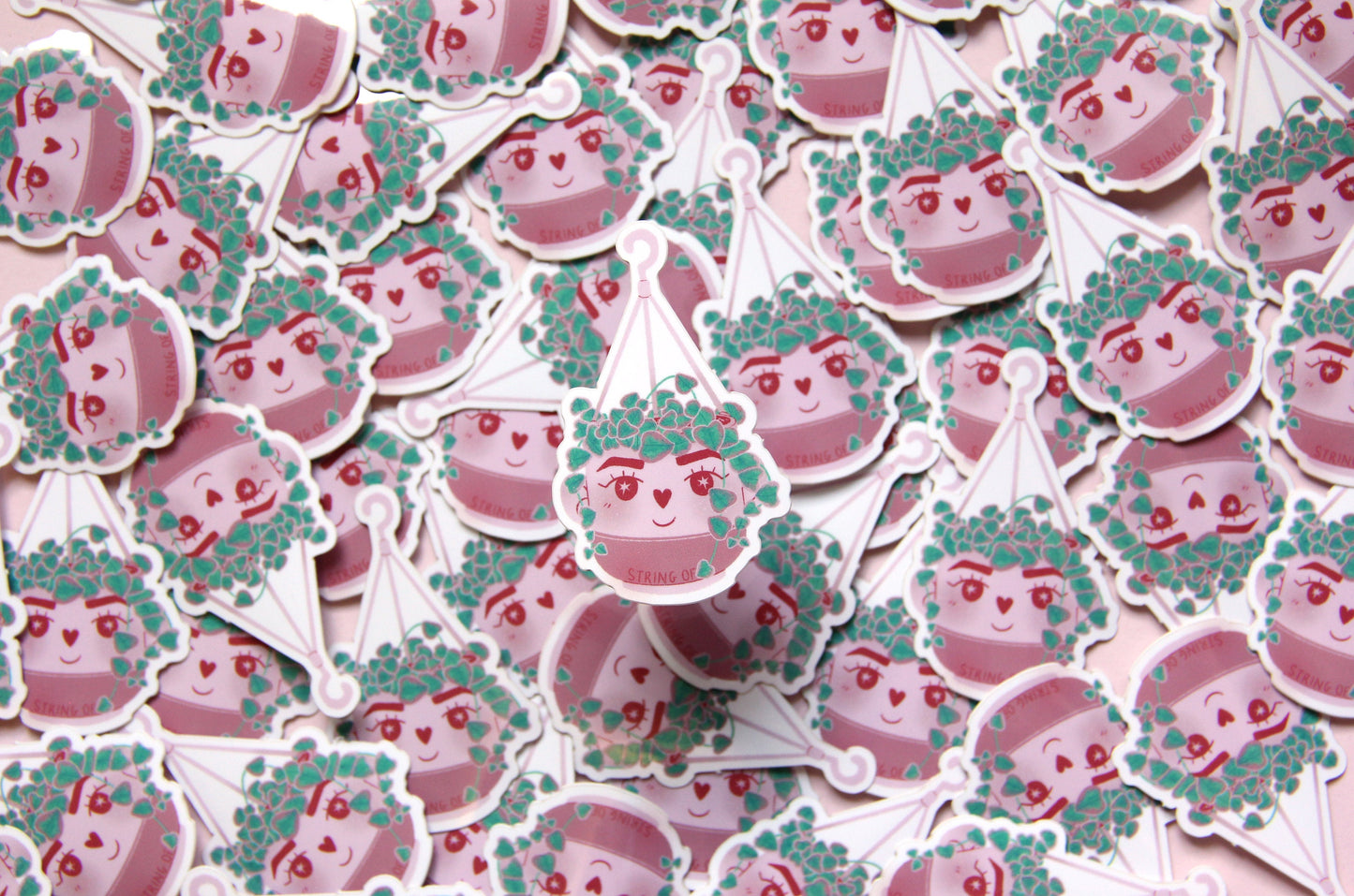 variegated string of hearts plant sticker