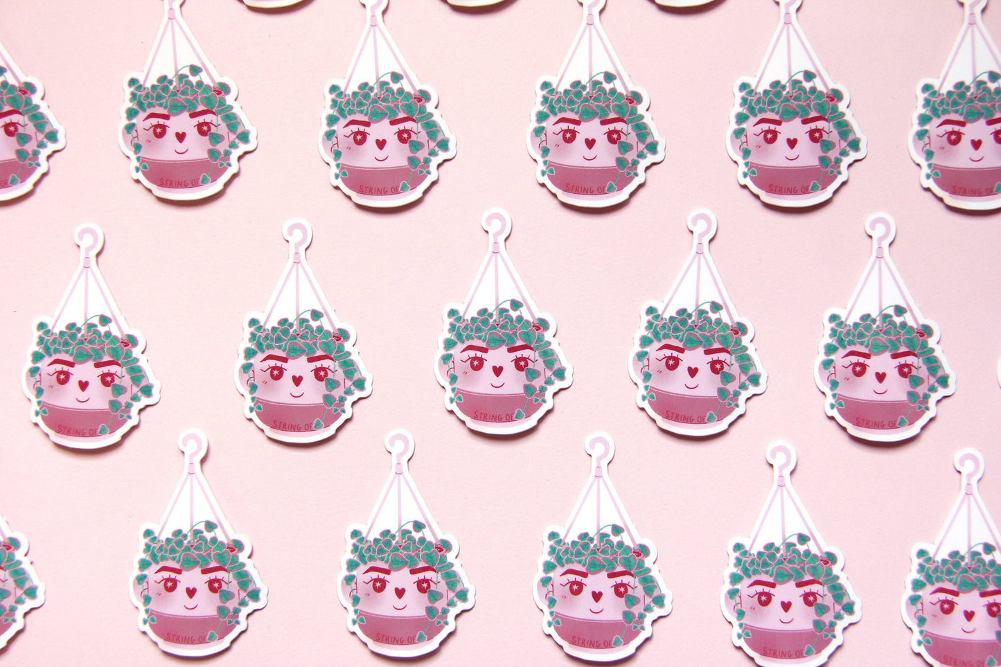 variegated string of hearts plant sticker