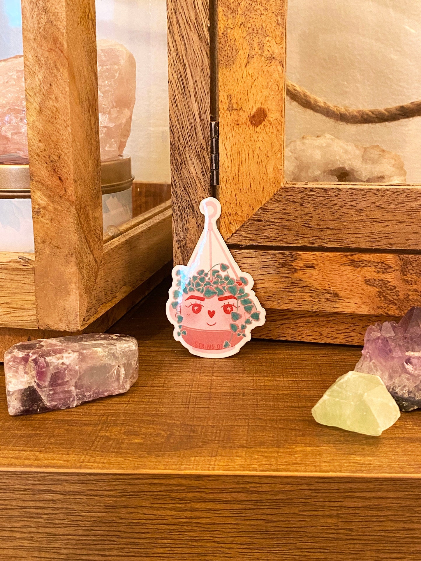 variegated string of hearts plant sticker