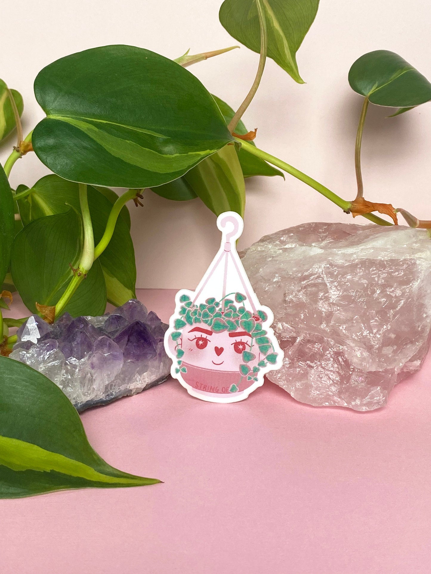 variegated string of hearts plant sticker